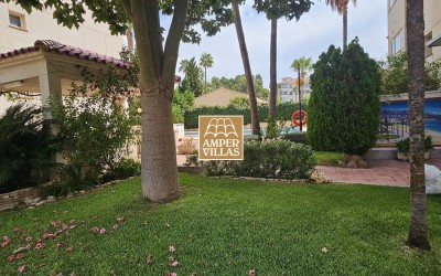 Солнечная квартира в центре Альбира