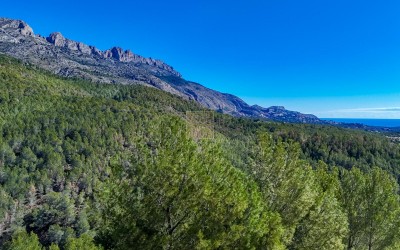 Участок под застройку в жилом районе города Алтея-ла-Велья.