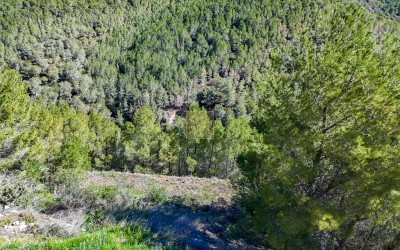 Участок под застройку в жилом районе города Алтея-ла-Велья.