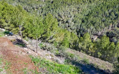 Участок под застройку в жилом районе города Алтея-ла-Велья.