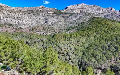Участок под застройку в жилом районе города Алтея-ла-Велья.