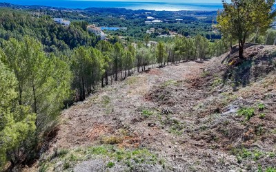 Участок под застройку в жилом районе города Алтея-ла-Велья.