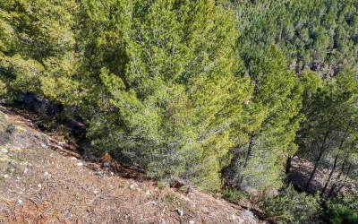 Городской участок с прекрасным видом на море.