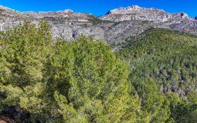 Городской участок с прекрасным видом на море.