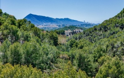 Прекрасная вилла в тихом зеленом районе.